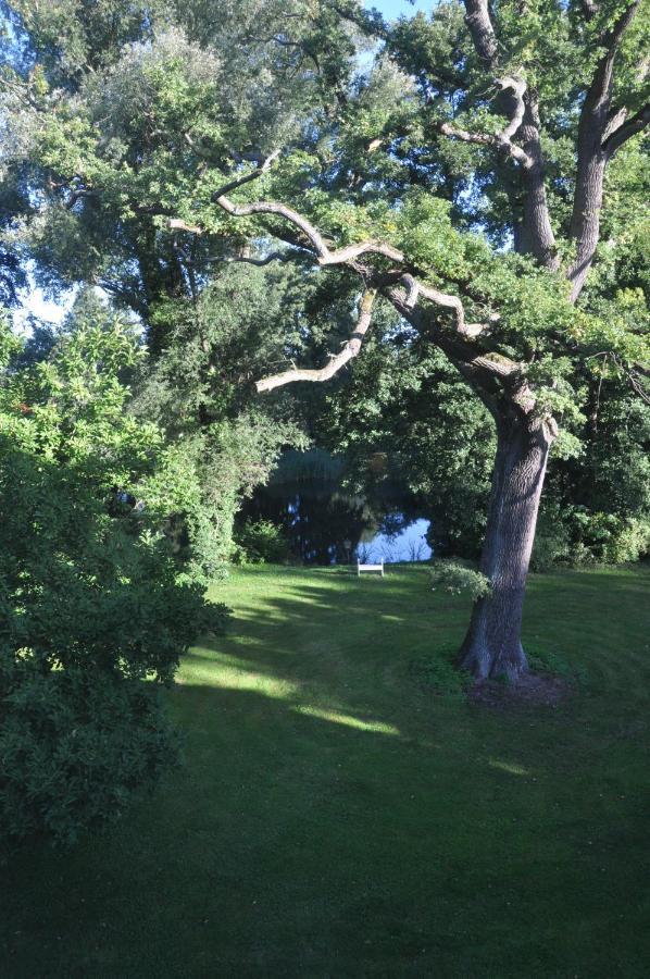 Gartenzimmer Im Schloss Neuhausen Neuhausen  Екстер'єр фото