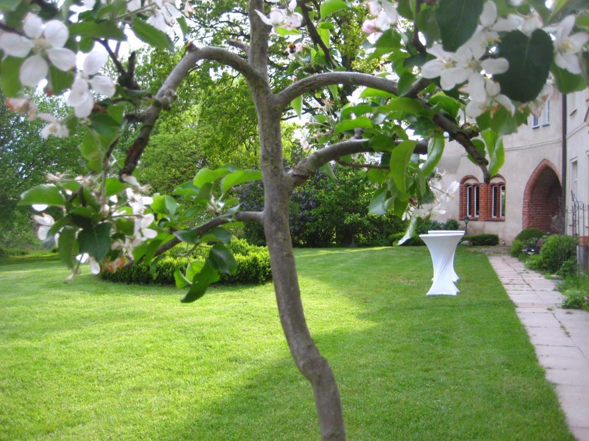 Gartenzimmer Im Schloss Neuhausen Neuhausen  Екстер'єр фото