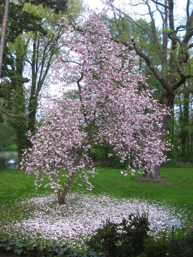 Gartenzimmer Im Schloss Neuhausen Neuhausen  Екстер'єр фото