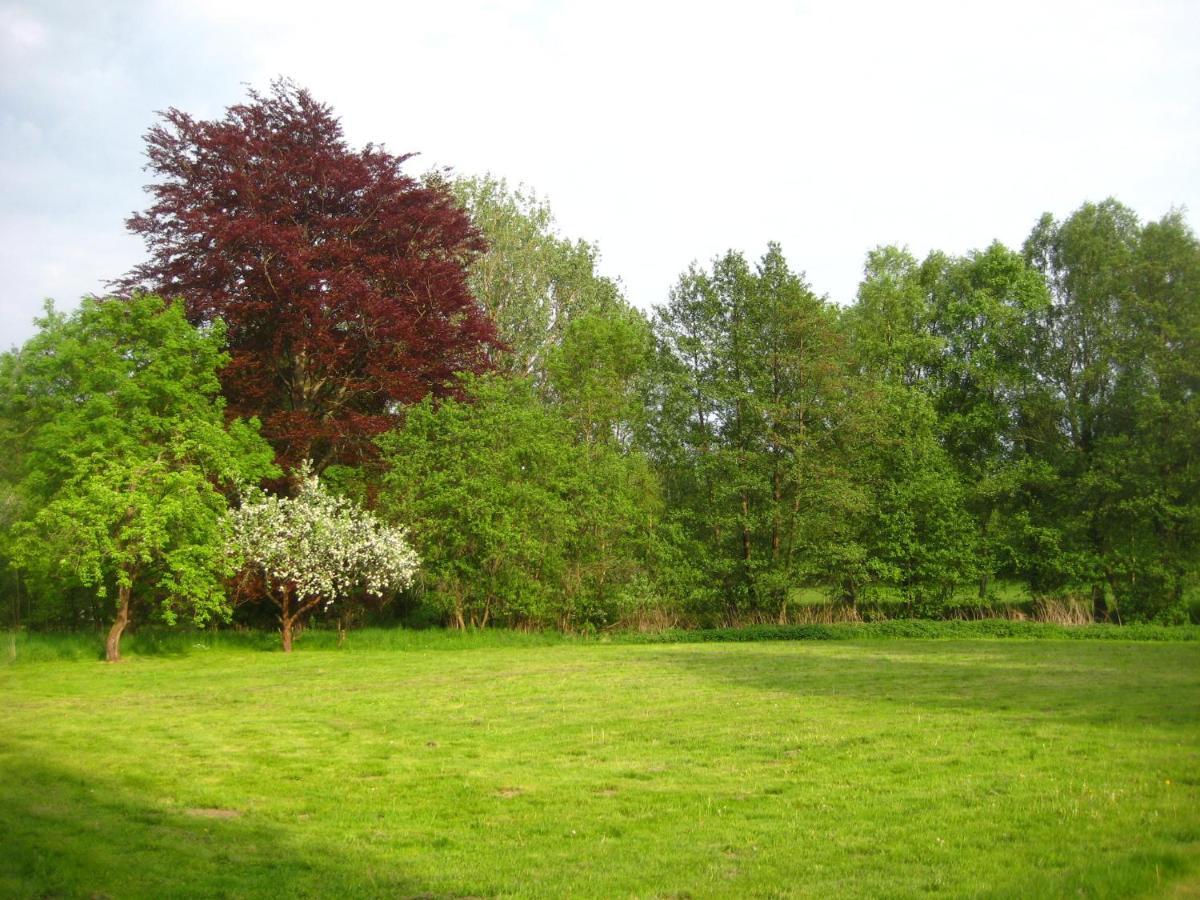 Gartenzimmer Im Schloss Neuhausen Neuhausen  Екстер'єр фото
