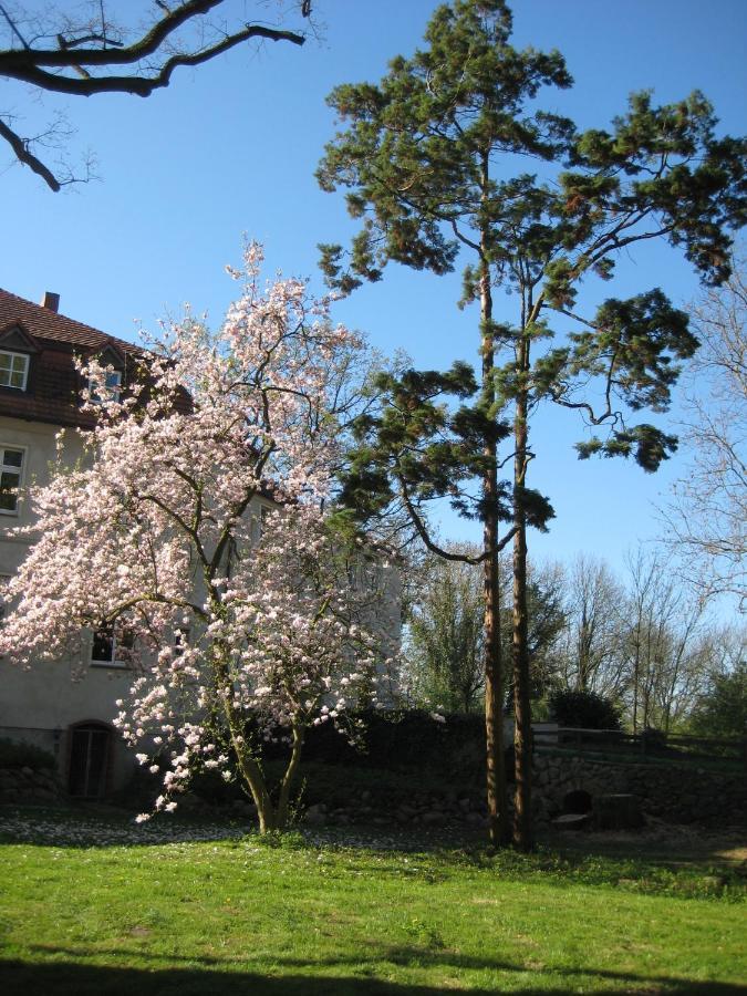 Gartenzimmer Im Schloss Neuhausen Neuhausen  Екстер'єр фото